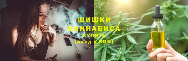 крисы Гусев