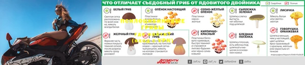 дмт Гусиноозёрск