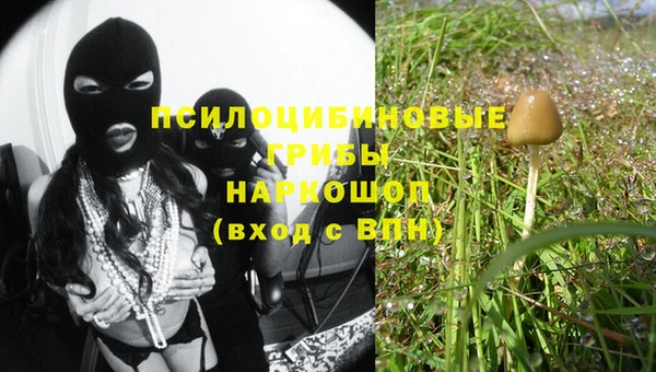 крисы Гусев